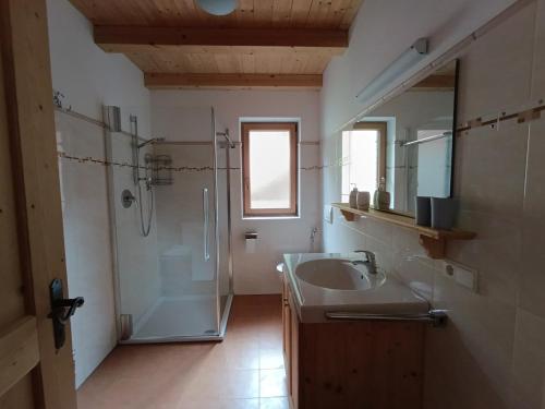 een badkamer met een douche, een wastafel en een spiegel bij Masches-chalet in Funes