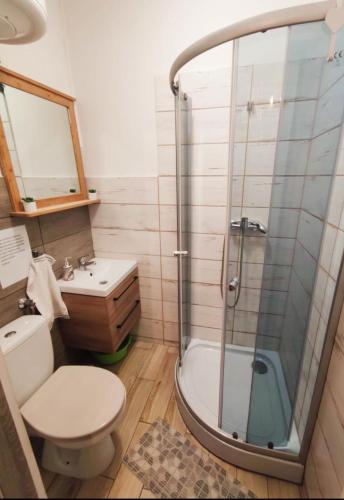 a bathroom with a shower and a toilet and a sink at Night Host Trzebnicka 56/1 in Wrocław