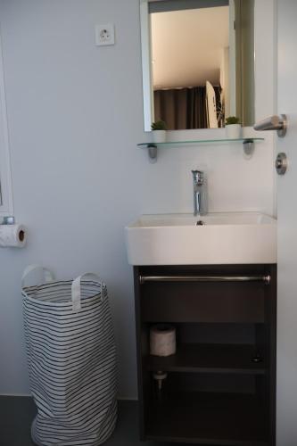 ein Badezimmer mit einem Waschbecken und einem Mülleimer in der Unterkunft Mobilna kućica Nika in Šimuni