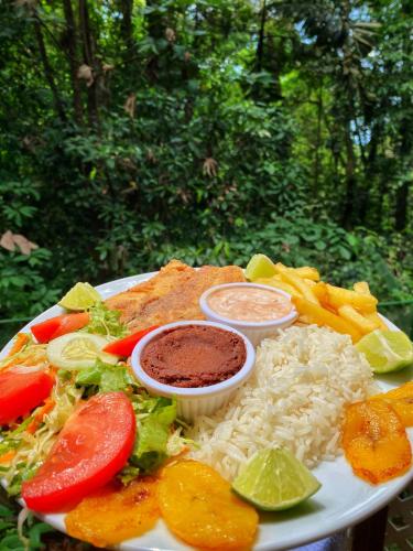 a plate of food with rice and vegetables and sauce at Las Arrieras Nature Reserve and Ecolodge in Horquetas