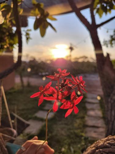 une personne tenant une fleur rouge devant le coucher du soleil dans l'établissement Rancho da Montanha Cipó, à La Serra do Cipo