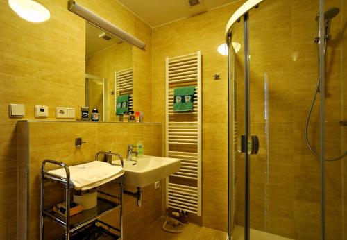 een badkamer met een wastafel en een douche bij Appartements Lobkowicz in Göstling an der Ybbs