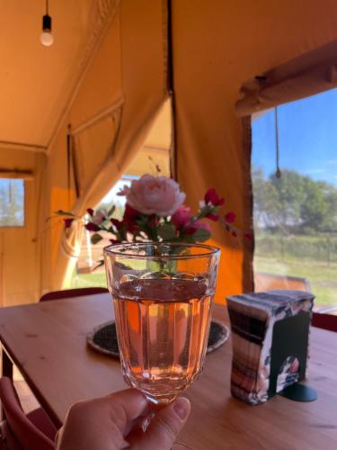 Fotografie z fotogalerie ubytování Sielanka Glamping v destinaci Pobiel