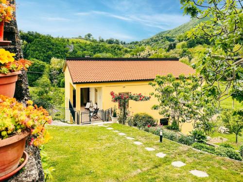 Příroda nedaleko prázdninového domu