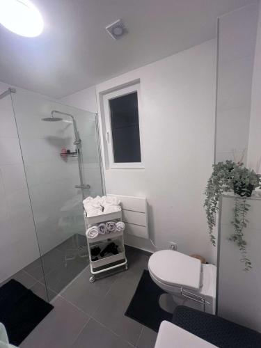 La salle de bains blanche est pourvue d'une douche et de toilettes. dans l'établissement La Suite Liege, à Seraing
