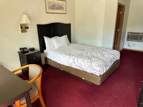 um quarto com uma cama, uma mesa e uma secretária em VISTA VILLA MOTEL em Ludington