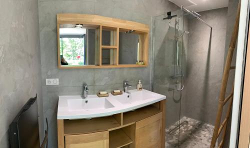 a bathroom with a sink and a shower at VILLA NIMES BARTHEROES 3 Chambres in Marguerittes