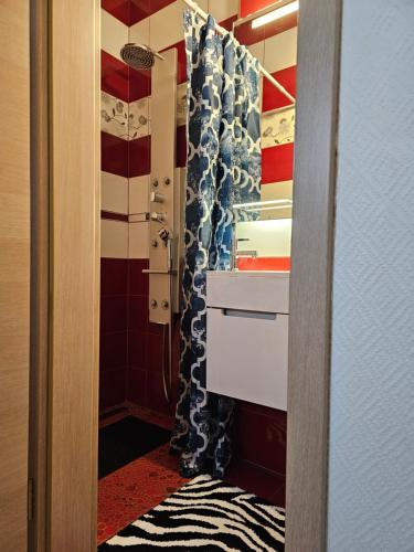 y baño con armario con lavabo y ducha. en Chambre Privé dans belle maison 1 en Ettelbruck