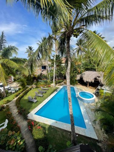 una vista aérea de una piscina con palmeras en VillasMana Complex PlayaBonita LasTerrenas Samana NearBeach WiFi, en Las Terrenas