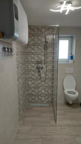 イゾラにあるApartma Liliのシャワーとトイレ付きのバスルーム