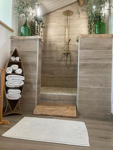 une douche dans une salle de bain avec une porte vitrée dans l'établissement Cottage River & Spa, à Saint-Ilpize