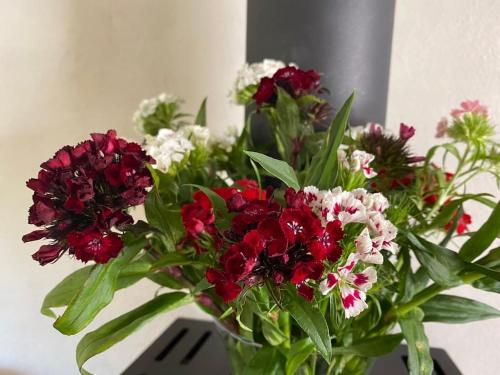a bouquet of red and white flowers in a vase at The Apple Press - Sweethay in Taunton