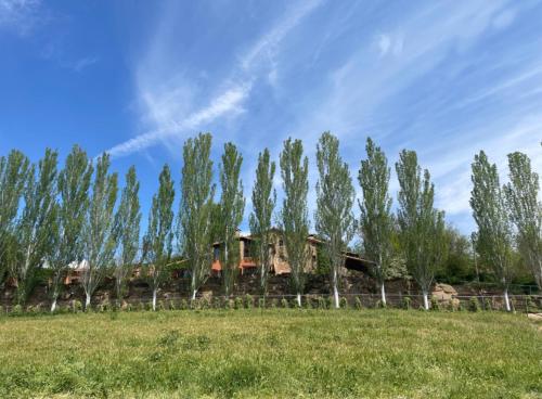 Galería fotográfica de Touristic Ballonga Horses en Solsona