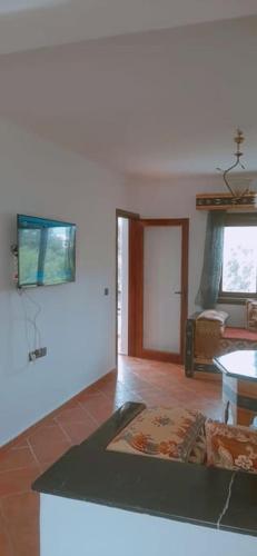 TV a/nebo společenská místnost v ubytování Appartement Cosy et Chaleureux