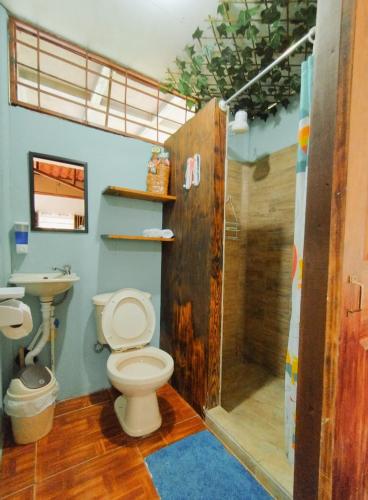 a bathroom with a toilet and a shower at Cabaña Dream House in Pejibaye