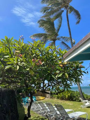 a group of chairs and a tree and the ocean at Moeʻuhane Kai Beach Front Home in Hauula