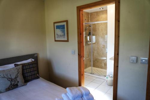 ManishにあるCorncrake Cottageのシャワー付きのベッドルーム1室、ベッド1台が備わるベッドルーム1室を提供しています。