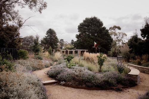 a garden with plants and a bench in the middle at Twelve 30 - Easy Airport Access in Cambridge