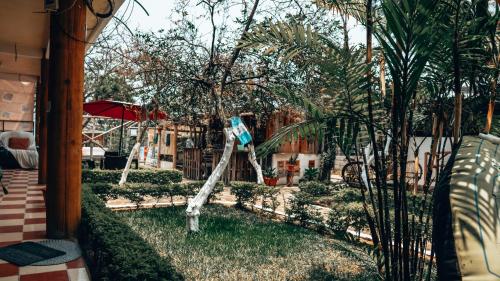 聖佩德羅拉古納的住宿－Complejo Don Pascual，庭院里种有棕榈树的花园