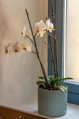 a vase filled with white flowers sitting on a table at CelloRico de Sabores - Alojamento Local in Celorico da Beira