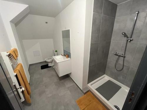 une salle de bain avec une douche, un lavabo et des toilettes dans l'établissement Le petit Riquewihr, à Riquewihr