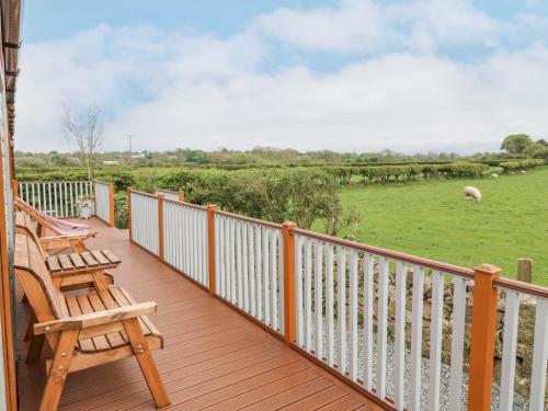 a deck with two chairs and a field of sheep at Y Caban in Llanfairpwllgwyngyll