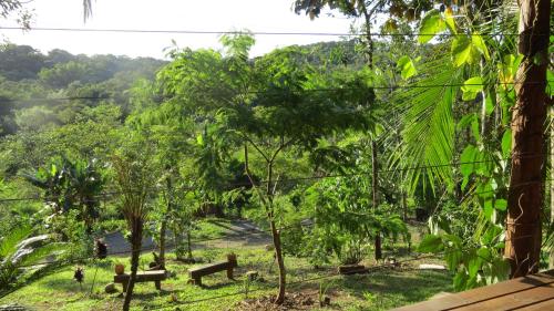 a view of a forest from a house at Cabanas sítio Ancestral in Morretes