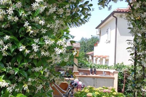 Apartment in Porec - Istrien 47129