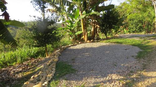 a road with rocks on the side of it at Cabanas sítio Ancestral in Morretes