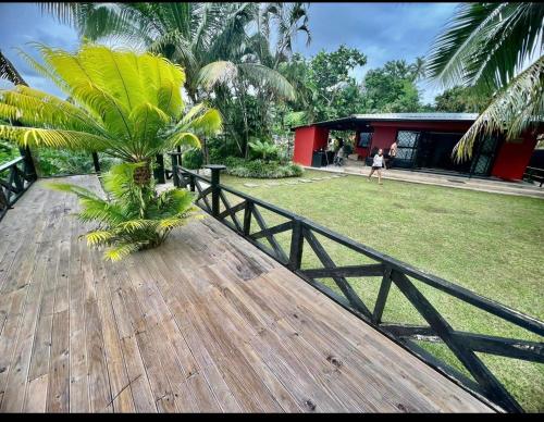 a wooden table with a palm tree on top of it at Breath of Fresh air Suva Fiji in Suva