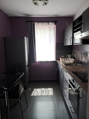 Una cocina o zona de cocina en Krzycka Apartment