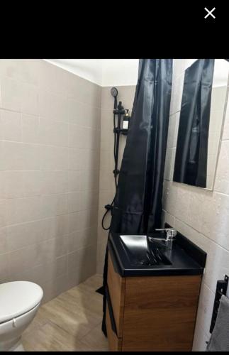 La salle de bains est pourvue d'un lavabo, de toilettes et d'un rideau de douche. dans l'établissement Chez Babou J, à Saint-Denis