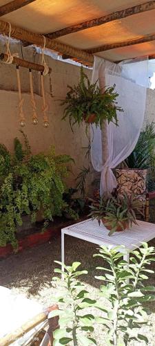 a white table with potted plants under an umbrella at Pousada Ray Sol - Centro Arraial d Ajuda in Arraial d'Ajuda