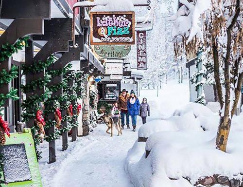 Galeriebild der Unterkunft Cozy Pet-Friendly Cabin Private Hot Tub Fenced In Yard Book on Mobile for Promo Price in Homewood