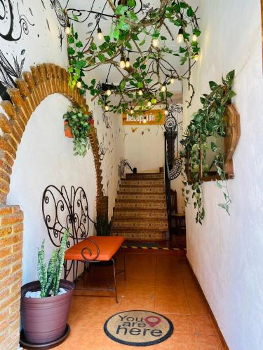 a hallway with a staircase with a table and plants at Campestre La Ninfa in Huasca de Ocampo