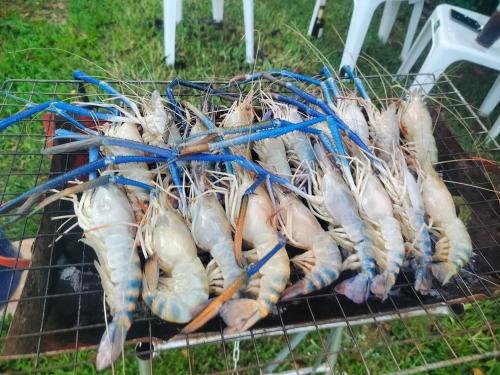 a bunch of shrimp sitting on a grill at Peang Tara Cafe & Resort in Nong Khai