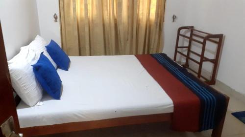 - une chambre avec un lit et des oreillers bleus dans l'établissement Greeno Lanka, à Anurâdhapura
