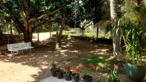 un parc avec un banc et quelques plantes et arbres dans l'établissement Greeno Lanka, à Anurâdhapura