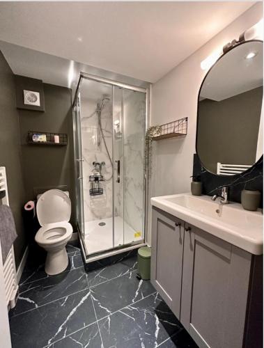 une salle de bain avec une douche, des toilettes et un lavabo dans l'établissement Appartement à deux pas des arènes de Nîmes, à Nîmes