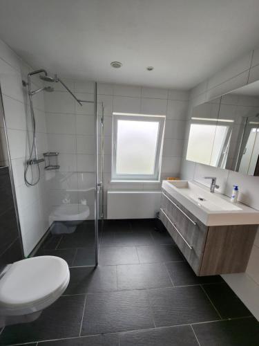 a bathroom with a sink and a shower and a toilet at Casa Cinco in Valkenburg