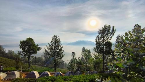a row of tents in a field with the sun in the sky at Janardan Tea Campsite Ooty in Ooty