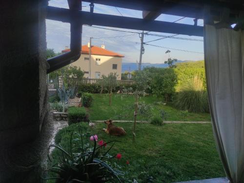 Zoran Vukusic Apartment