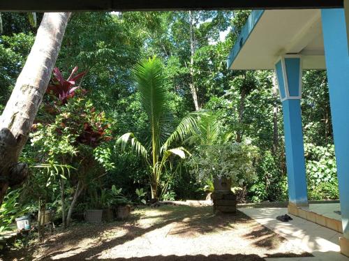 a garden with palm trees and a house at Lagoon Apartments Beruwala in Beruwala