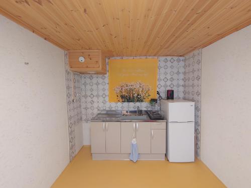 eine Küche mit einer Spüle und einem Kühlschrank in der Unterkunft One day Retro House 