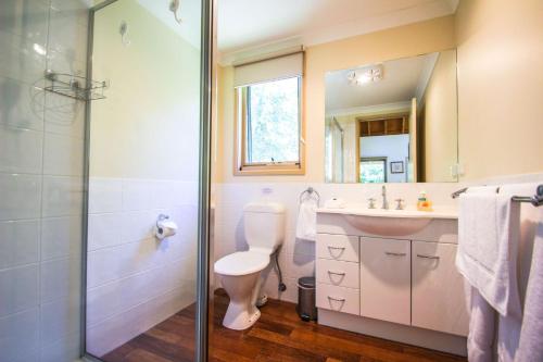 een badkamer met een toilet, een wastafel en een douche bij Alpine Arnica Cottage 2 in Harrietville