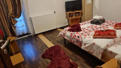 Şarul DorneiPensiunea Casa Alex的相册照片