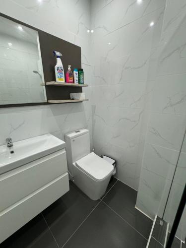 a white bathroom with a toilet and a sink at THE VIEW APPARTMENTS in Willemstad