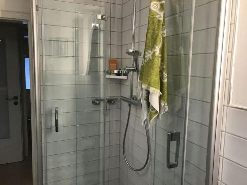ein Bad mit einer Dusche und einem grünen Handtuch in der Unterkunft Hansel and Gretel in Kassel