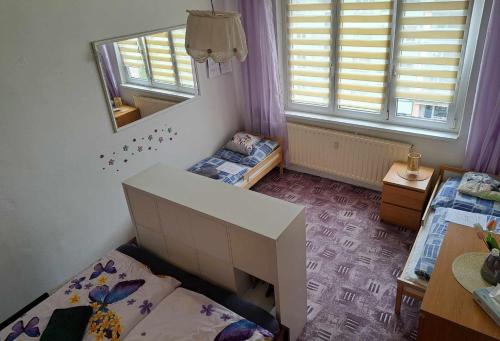 索可洛夫的住宿－Apartmán v podhůří Krušných hor，一间小卧室,配有两张床和镜子