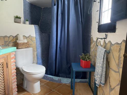 La salle de bains est pourvue de toilettes et d'un rideau de douche bleu. dans l'établissement Estudio Rural el Acebuchal by At Home Costa del So, à Acebuchal